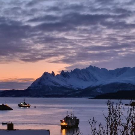 Loftsleilighet Midt I Sentrum Skjervoy Kültér fotó