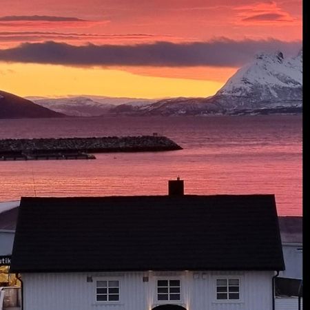Loftsleilighet Midt I Sentrum Skjervoy Kültér fotó