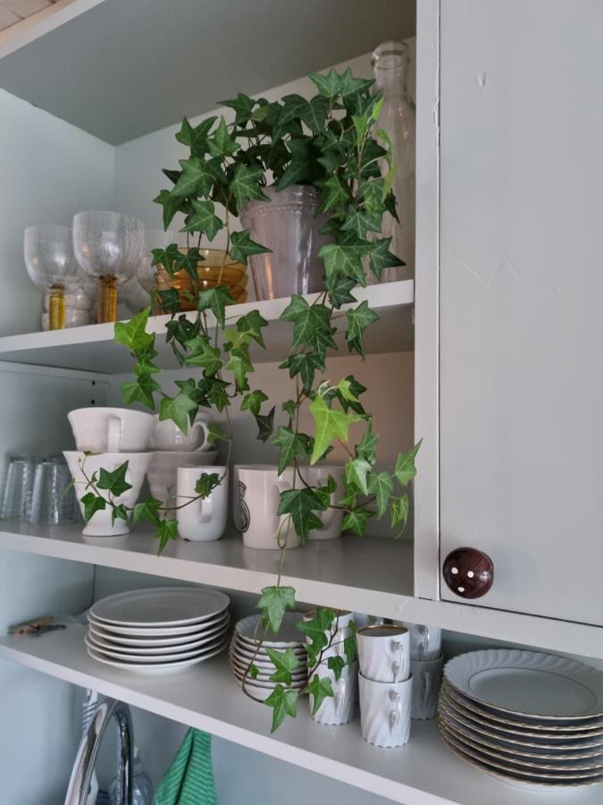 Loftsleilighet Midt I Sentrum Skjervoy Kültér fotó